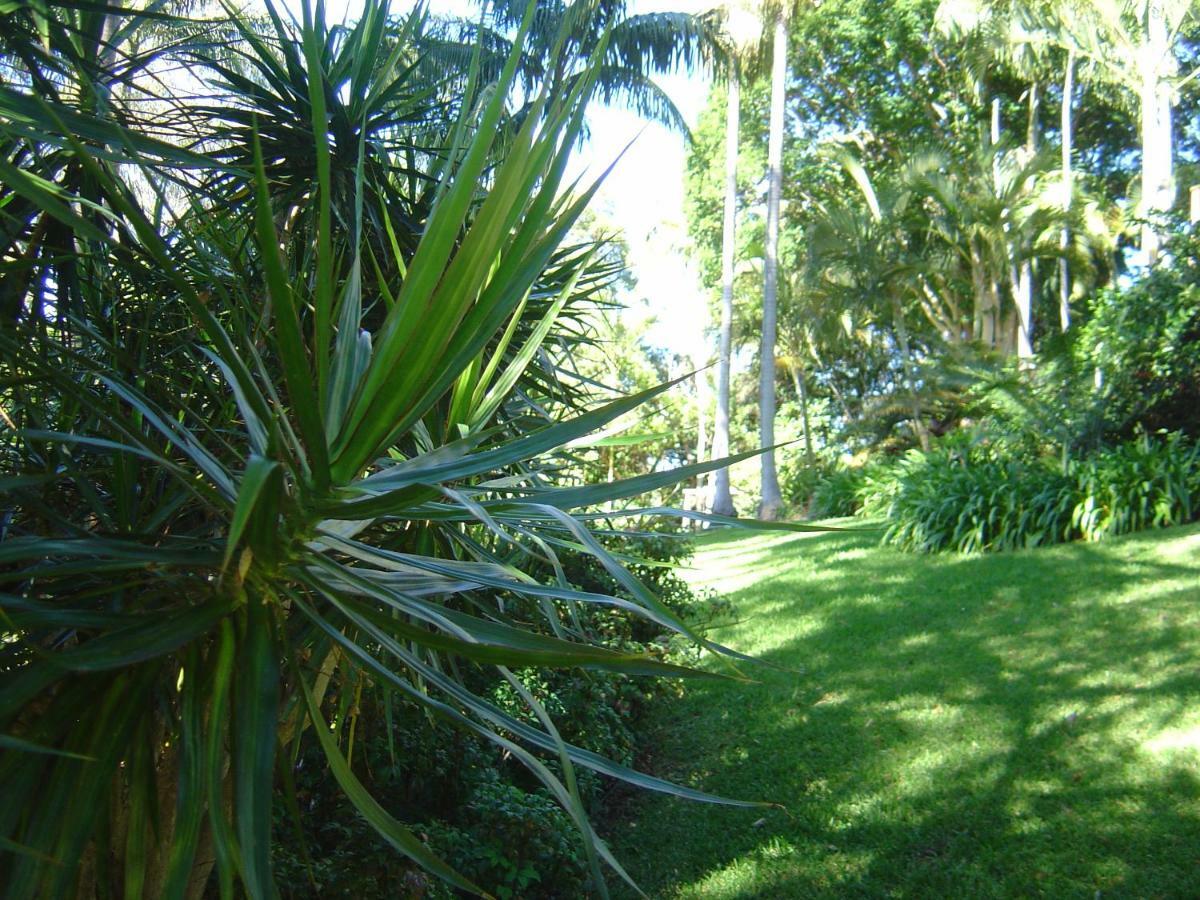 Sensom Boutique Bed And Breakfast Sapphire Beach Esterno foto